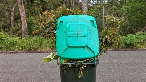 Nsws 6 Million ‘revolutionising Bin Service Rollout Will Allow