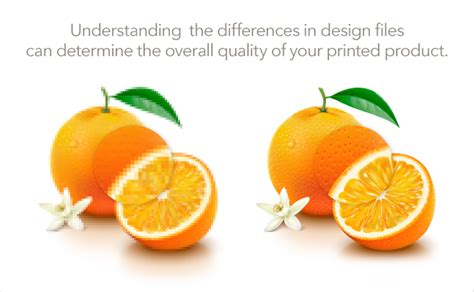 Understanding Raster vs. Vector Art