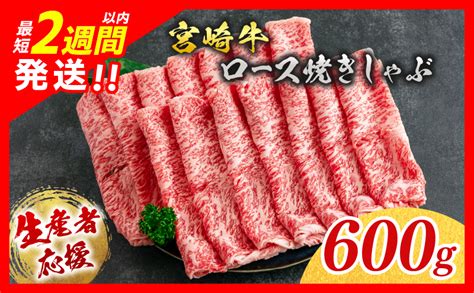 【最短2週間以内で発送】生産者応援 数量限定 宮崎牛 ロース 焼きしゃぶ 計600g 牛肉 ビーフ 黒毛和牛 ミヤチク 国産 ブランド牛 食品