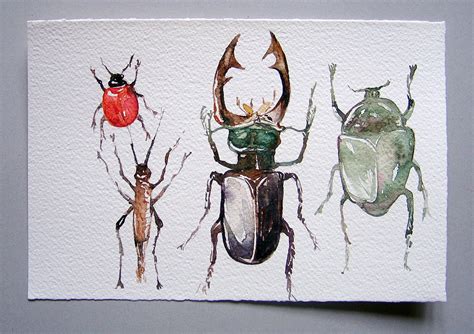 Watercolor Painting Of Insects Art Original Watercolor Art