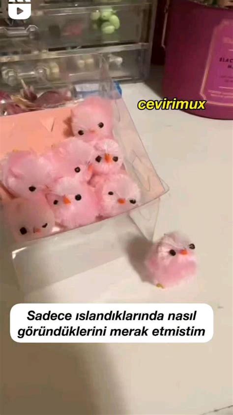 ★彡 ʜᴀᴄʜɪ 彡★ Adlı Kullanıcının Sizin Pinleriniz Panosundaki Pin Komik şeyler Komik Cevaplar