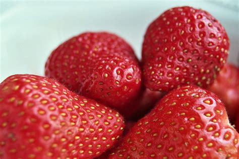 Erdbeeren Rot Obst Kostenloses Foto Auf Pixabay Pixabay