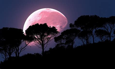 Brightest Moon Of 2020 Will Be Aprils Full Pink Supermoon