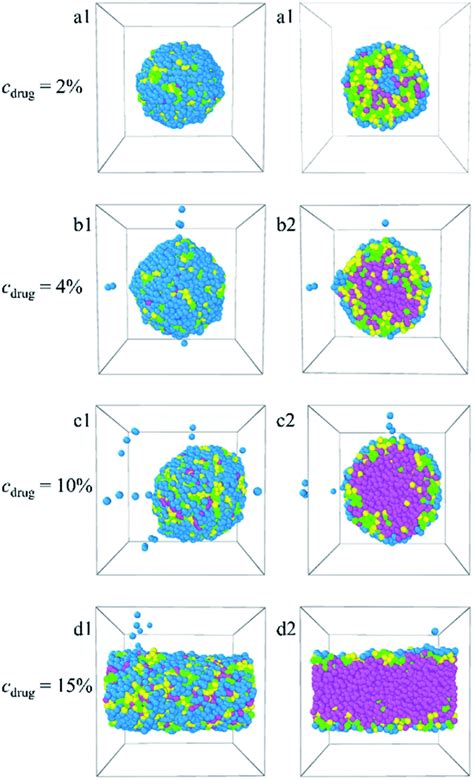 Dpd Simulations On Morphologies And Structures Of Blank Plga B Peg B