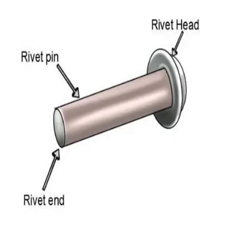 Copper Rivets Flat Copper Rivet Manufacturer From New Delhi