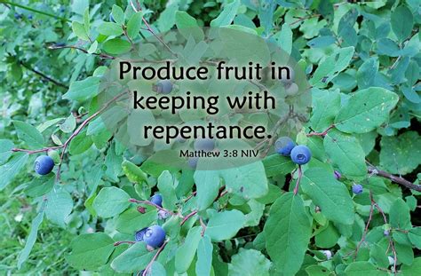 Produce Fruit In Keeping With Repentance - Matthew 3:8 - A Clay Jar