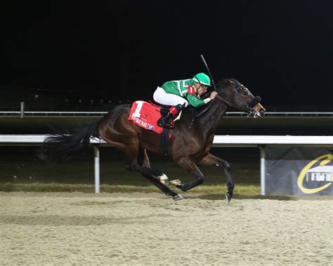 Vote No goes to 3 for 4 with Turfway Preview score - Kentucky Horsemen