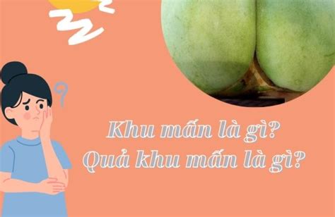 Quả Khu Mấn Là Gì? Món Đặc Sản Thú Vị Xứ Nghệ - Tĩnh