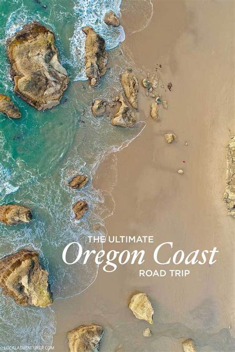 The Ultimate Oregon Coast Road Trip All The Best Stops Oregon Road