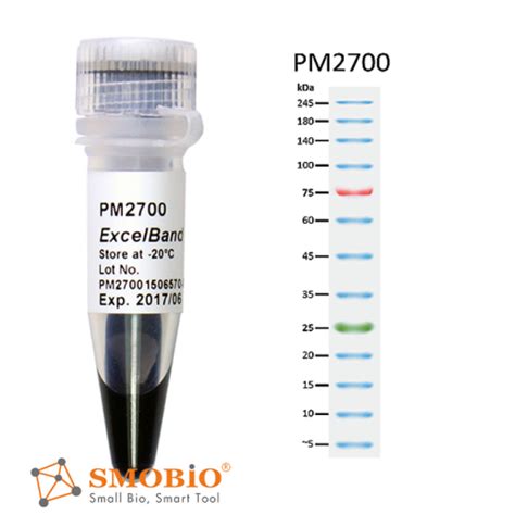 Protein Markers And Ladders Excelband 3 Color Broad Range Protein Marker