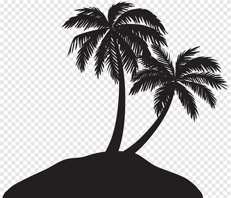 Arecaceae Silhouette Silhouette