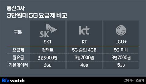 정부 드라이브 걸자 Skt·lgu 3만원대 5g 요금제 출시