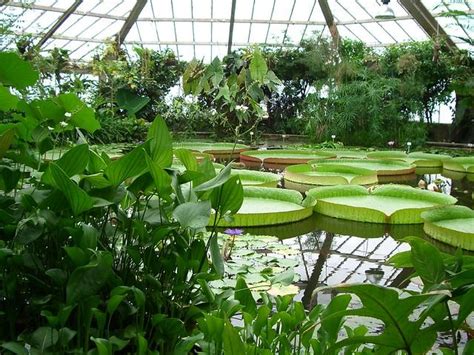 Le Jardin Botanique De Meise Reconnu Internationalement Femmes D