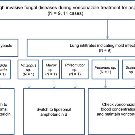 Diagram Of Pathogens And Treatment For Breakthrough Invasive Fungal