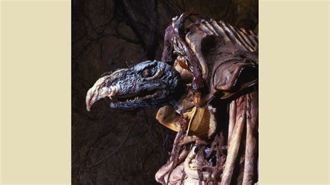 Skeksis The Dark Crystal The Thing That Makes Up Childhood Nightmares