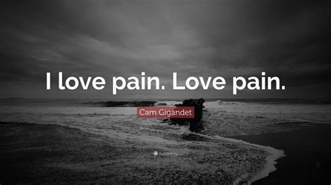 Cam Gigandet Quote: “I love pain. Love pain.”