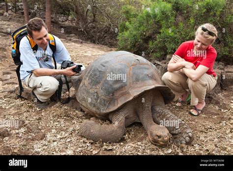 Los Turistas En Busca De Tortuga Gigante De Galápagos Chelonoidis