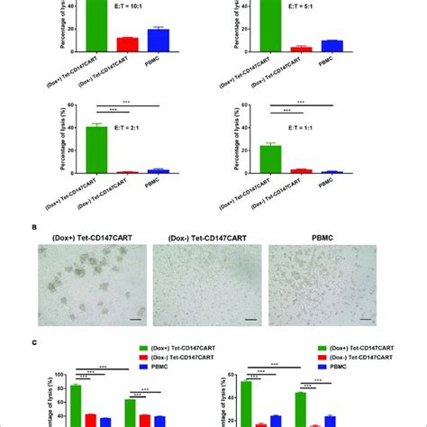 Cytokine Secretion By Dox Tet CD147CART Cells Dox