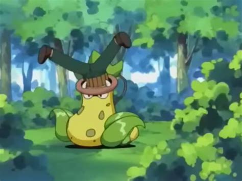 Imagen Ep263 Victreebel Wikidex Fandom Powered By Wikia