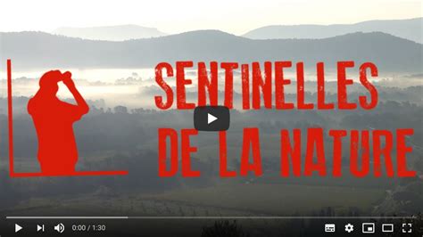 Video Sentinelles Fne Ocmed