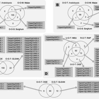 Comparisons Of Candidate Fusion Gene Isoforms Among Six Combinations