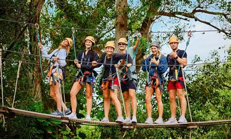 NorthShore 7-line zipline (great value!) (2 hours, $139)