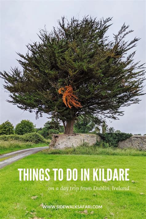 The Best Things To Do In Kildare On An Ireland Staycation