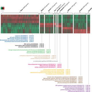 Figure S5 Heat Map Representing The Expression Levels Of Genes In