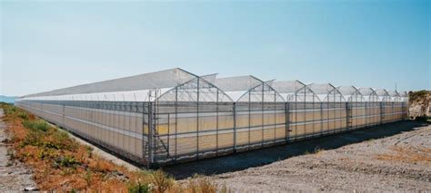 The Greatest Greenhouse Built In Spain In One Unit Agritechtomorrow