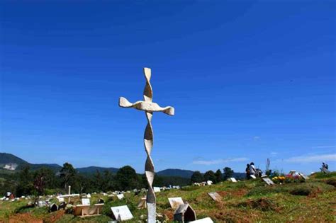 Padre L Cio Manifesta Es Verbais E Mudan As Comportamentais S O