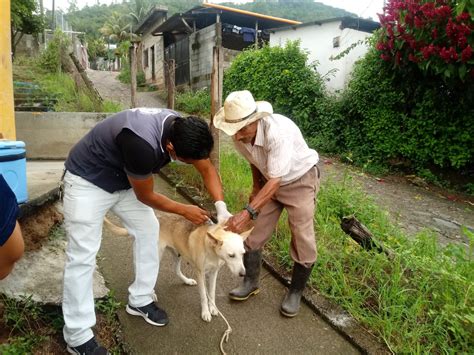 Ministerio de Salud Pública on Twitter Mascotas de pobladores de