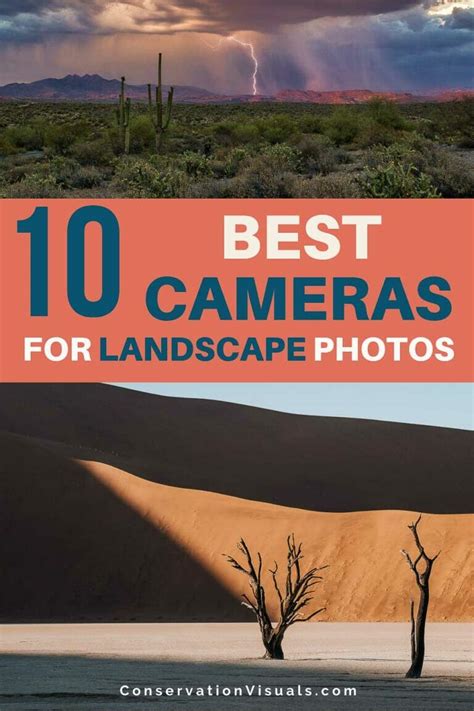 Best Cameras For Landscape Photography 2024