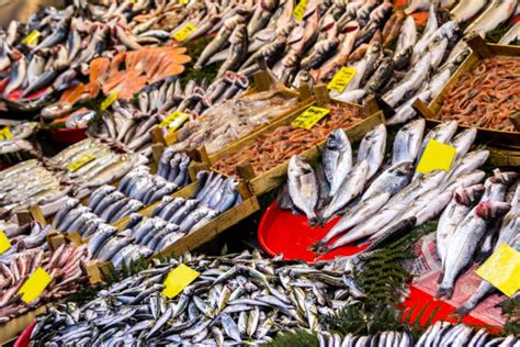 90 Big Fish Market Stock Photos Pictures And Royalty Free Images Istock