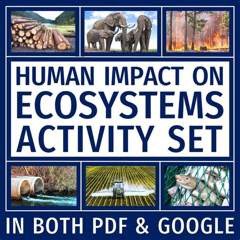 Human Impact On Ecosystems Worksheets