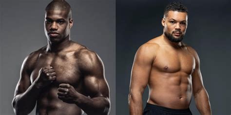 Predictions for Daniel Dubois vs Joe Joyce