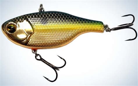 Best Lipless Crankbaits For 2022 Outdoor Life