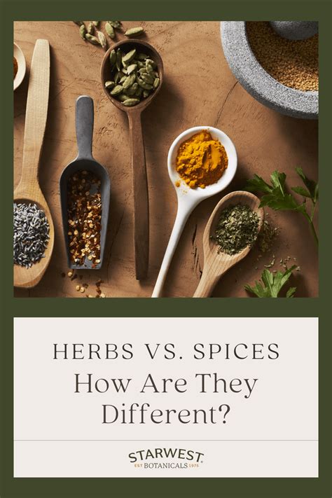 Spice Vs Seasoning Vs Herb At Michael Cass Blog