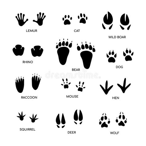 Rat Footprint Stock Illustrations – 184 Rat Footprint Stock Illustrations, Vectors & Clipart ...