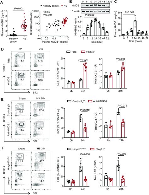 High Mobility Group Box 1 HMGB1 Induces Type 2 Innate Lymphoid Cells