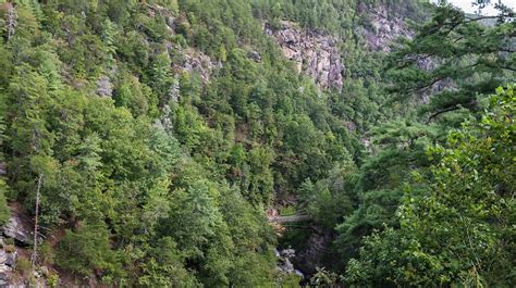 Tallulah Gorge Suspension Bridge High Photograph by Ed Williams - Fine ...