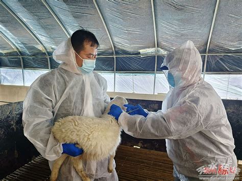 打好春季动物防疫“预防针” 筑牢畜牧防疫“安全网”图 天水在线