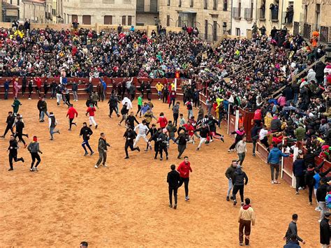 Galer A Encierro Del S Bado De Carnaval En Ciudad Rodrigo