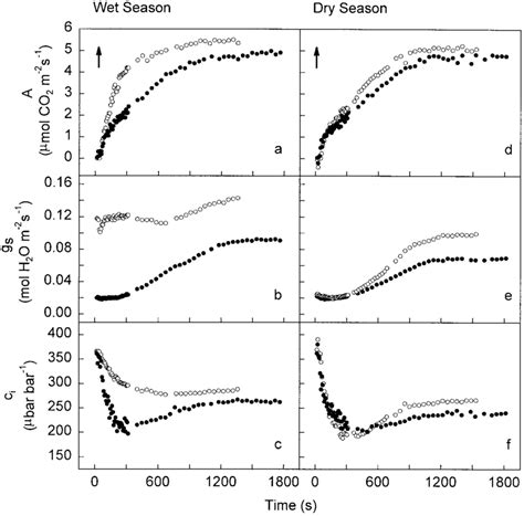 Time Course Of A D Net Assimilation B E Stomatal Conductance And C F