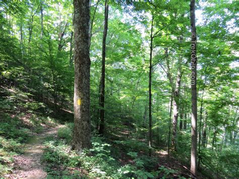 Burr Oak State Park: Hiking the Upper Loop | TrekOhio