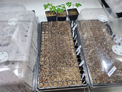 The Secret To Gardening Is Not Forgetting Your Plants!