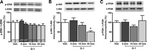 Gper Does Not Activate The Erk Or Pi K Akt Signaling Pathways A G