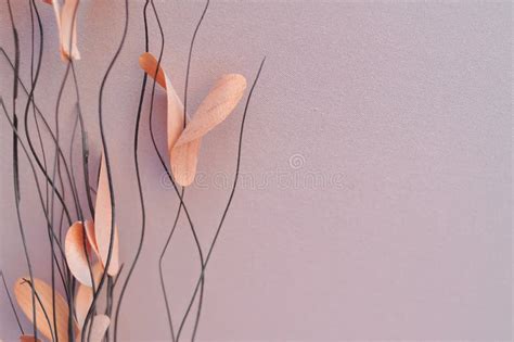 Close Up Of Bouquet Of Brown Dried Flowers Background And Wallpaper