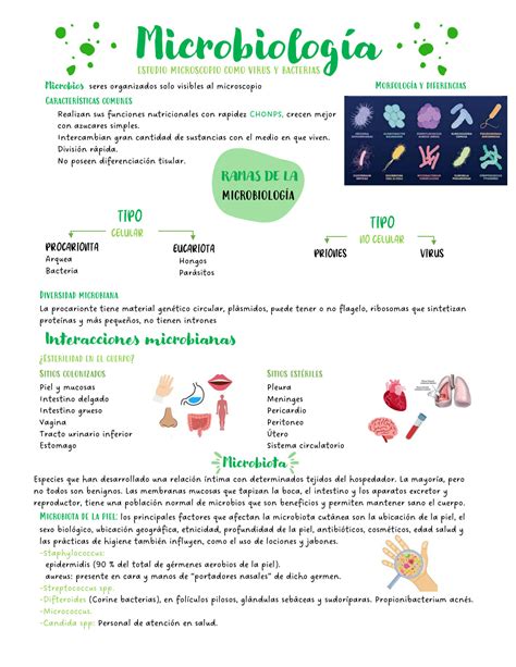 Solution Microbiolog A General Bacterias Virus Hongos Y Parasitos