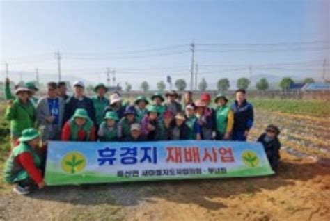 안성시 죽산면 남·녀 새마을협의회 휴경지 고구마 재배사업 진행