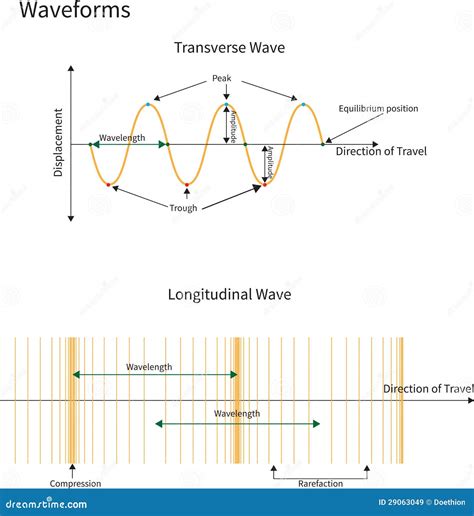 Transverse And Longitudinal Waves Royalty Free Stock Images - Image ...